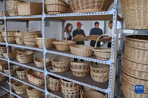 環(huán)保沙柳工藝品受歡迎