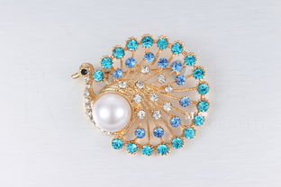 15元的胸針和發夾 珠寶首飾靜物類攝影 練習圖 無修